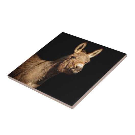 Carreau L'âne (Côté)