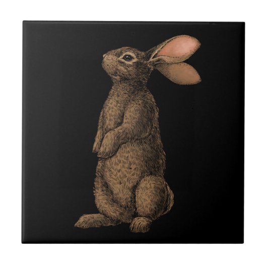 Carreau Lapin (Devant)