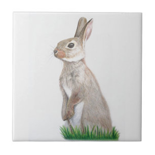Carreau Lapin