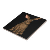 Carreau Lapin 3 (Côté)