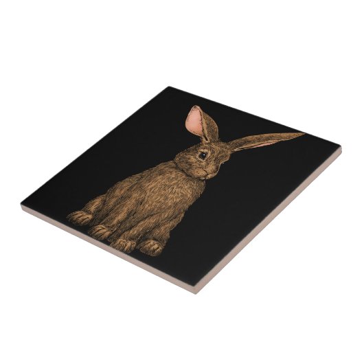 Carreau Lapin 3 (Côté)