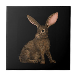 Carreau Lapin 4