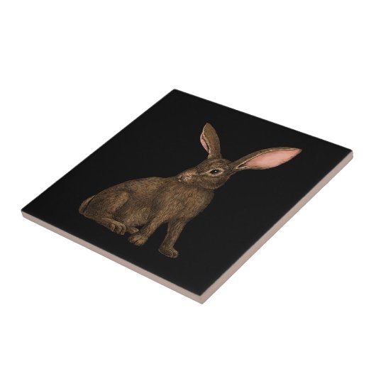 Carreau Lapin 4 (Côté)