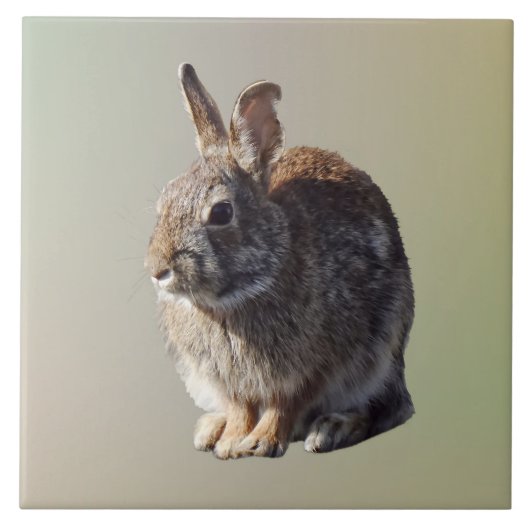 Carreau Lapin assis (Devant)
