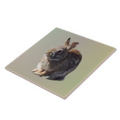 Carreau Lapin assis (Côté)