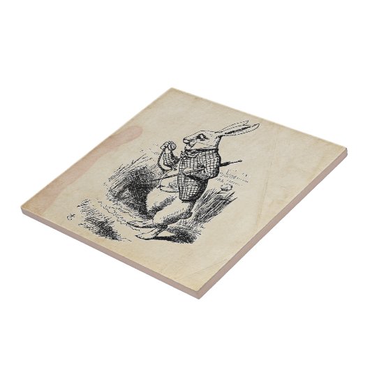 Carreau Lapin blanc vintage (Côté)