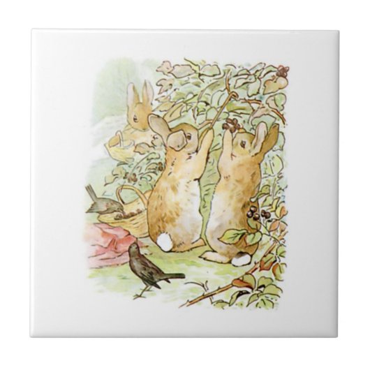 Carreau Lapin : cueillette de Blackberry (Beatrix Potter) (Devant)