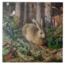 Lapin dans la forêt