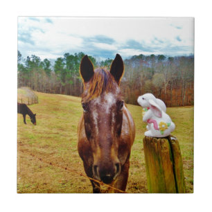 Carreau Lapin de Pâques et cheval Brown
