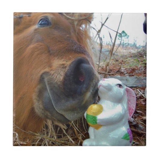 Carreau Lapin de Pâques et cheval Brown (Devant)