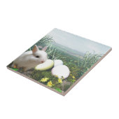 Carreau Lapin de Pâques et Oeufs de Pâques (Côté)