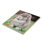 Carreau Lapin mignon à la lop dans l'herbe avec carotte (Côté)