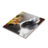 Carreau Lapin nain noir et blanc (Côté)