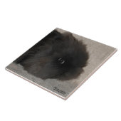 Carreau Lapin noir de Lionhead (Côté)