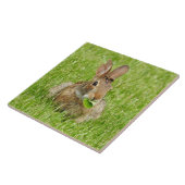 Carreau Lapin sauvage mangeant (Côté)