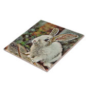 Carreau lapin toony (Côté)