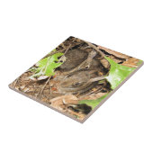 Carreau Lapins sauvages de bébé (Côté)