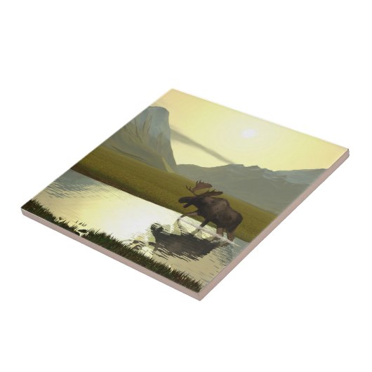 Carreau L'après-midi Moose (Côté)