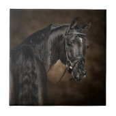 Carreau L'Arabe (Devant)