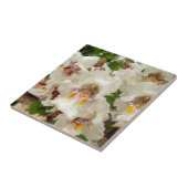 Carreau L'arbre d'haricot indien fleurit la tuile en (Côté)