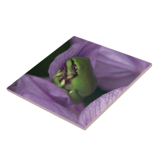 Carreau L'arbre-grenouille du blanc (Côté)