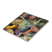 Carreau L'art de la nature par Ernst Haeckel (Côté)