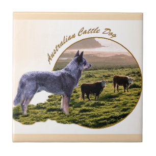 Carreau L'art du chien de bétail australien