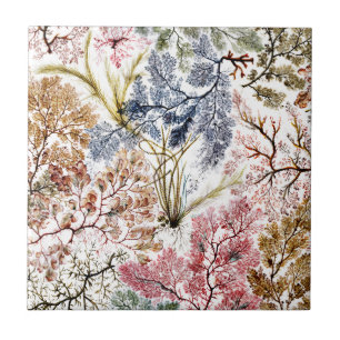Carreau L'art en tissu de soie d'algues