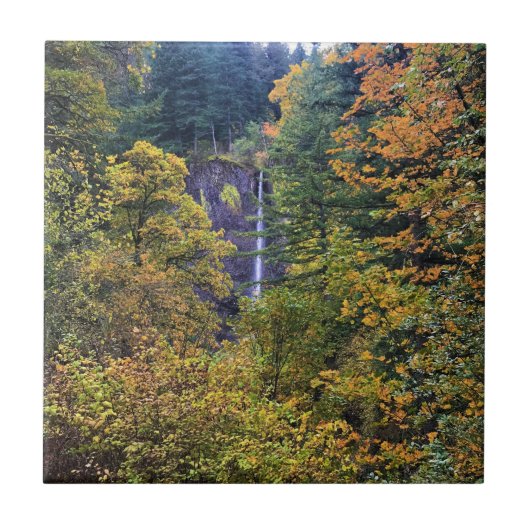 Carreau Latourell Falls, gorge de Columbia, Oregon (Devant)