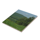 Carreau Laurel Highlands Pennsylvania Summer Photography (Côté)