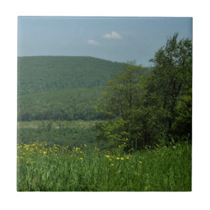 Carreau Laurel Highlands Pennsylvanie Photographie d'été