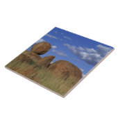 Carreau L'Australie, les marbres du diable. grès sphérique (Côté)