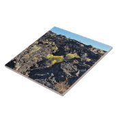 Carreau Lava Butte Trail (Côté)