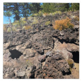 Carreau Lava Cast Forest, OR (Devant)