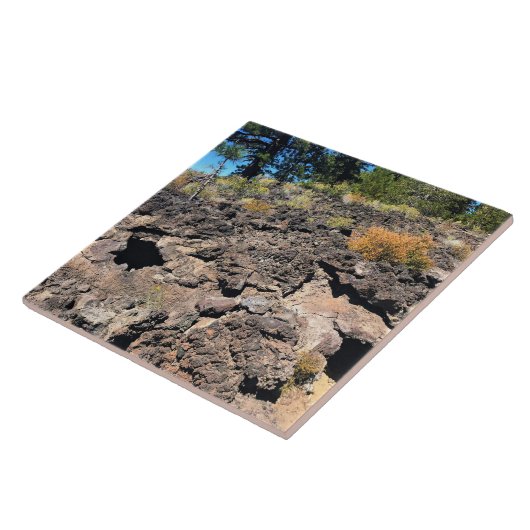 Carreau Lava Cast Forest, OR (Côté)