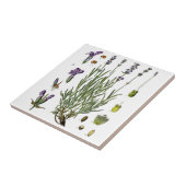 Carreau Lavande (Côté)