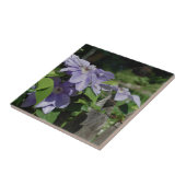 Carreau Lavande Clematis Fleurs Sur La Clôture Nature (Côté)