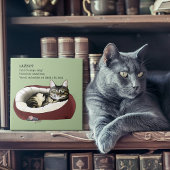 Carreau Lazy Chat Led Green Funny