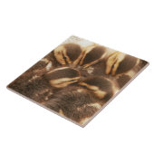 Carreau Le bébé penche la tuile de faune d'oiseaux de (Côté)