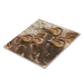 Carreau Le bébé penche la tuile de faune d'oiseaux de (Côté)