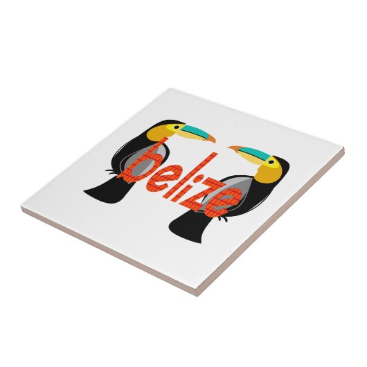 Carreau Le Belize maintenant (Côté)