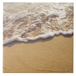 Carreau Le bord 5 de l'eau