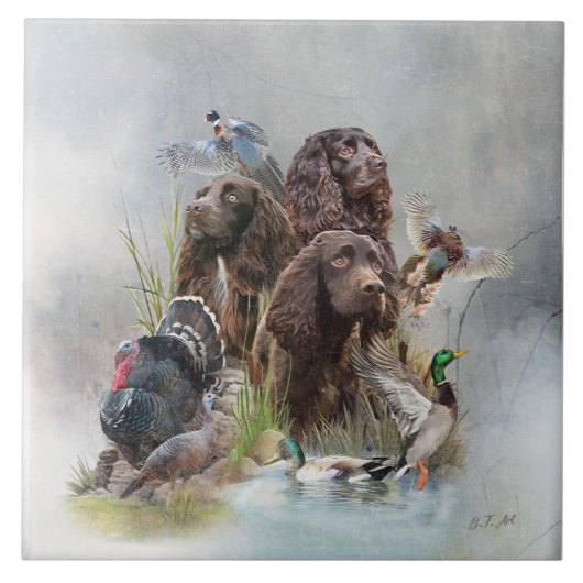 Carreau Le Boykin Spaniel (Devant)
