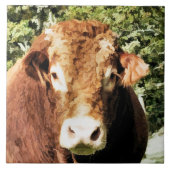 CARREAU LE BULL (Devant)