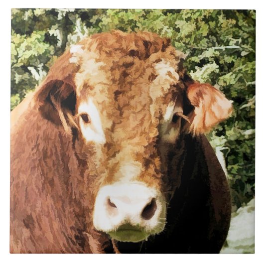 CARREAU LE BULL (Devant)