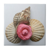 Carreau Le camélia et les coquilles (Devant)