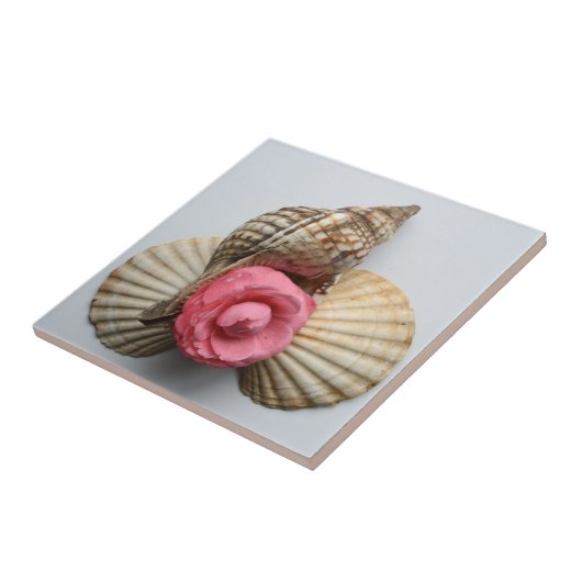 Carreau Le camélia et les coquilles (Côté)