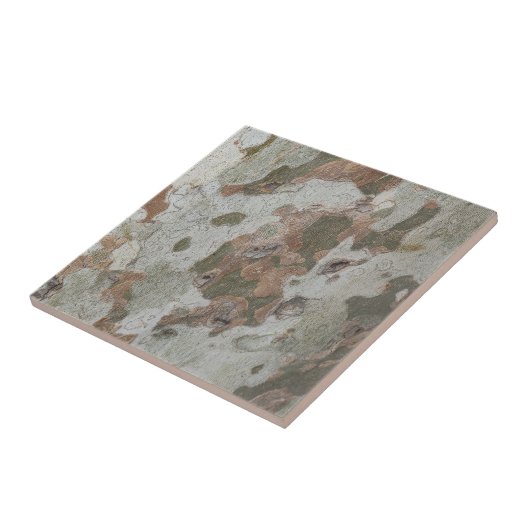Carreau Le camouflage de l'arbre à l'écorce céramique moti (Côté)