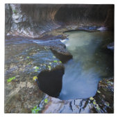 Carreau Le canyon de fente de souterrain (Devant)