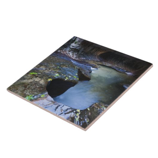 Carreau Le canyon de fente de souterrain (Côté)